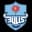 Bulls Logo