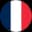 France Logo