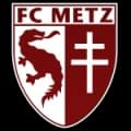 Metz Logo
